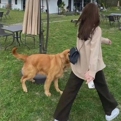 学校的墙不见了